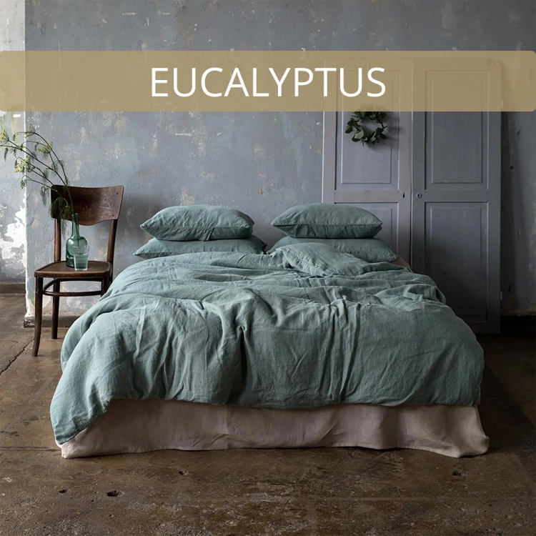 NA-WYMIAR-eucalyptus.webp