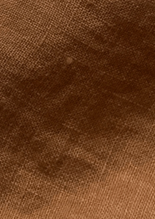 CINNAMON kolor lnu 675x950.png